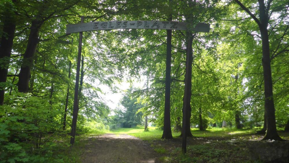 post-1325-0-92662800-1434467637_thumb.jp