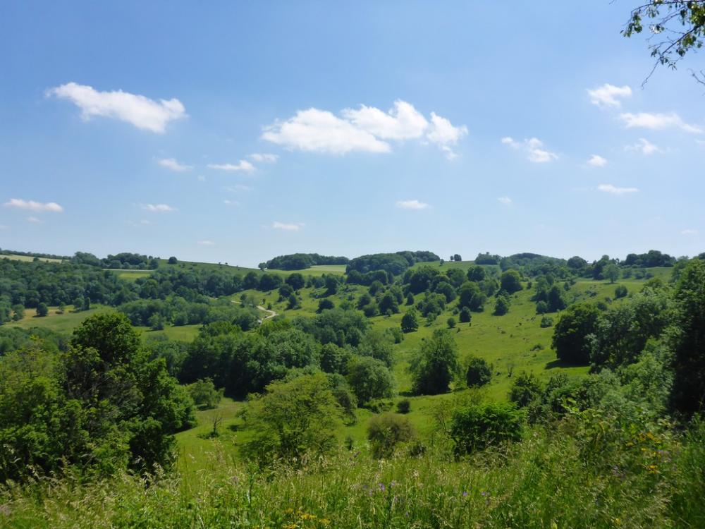 post-1325-0-96307700-1434722255_thumb.jp