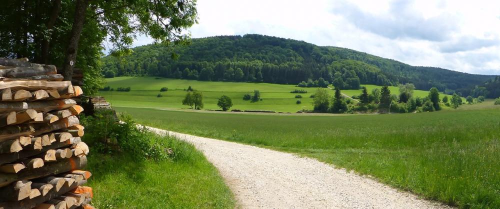 post-1325-0-97546500-1434532007_thumb.jp