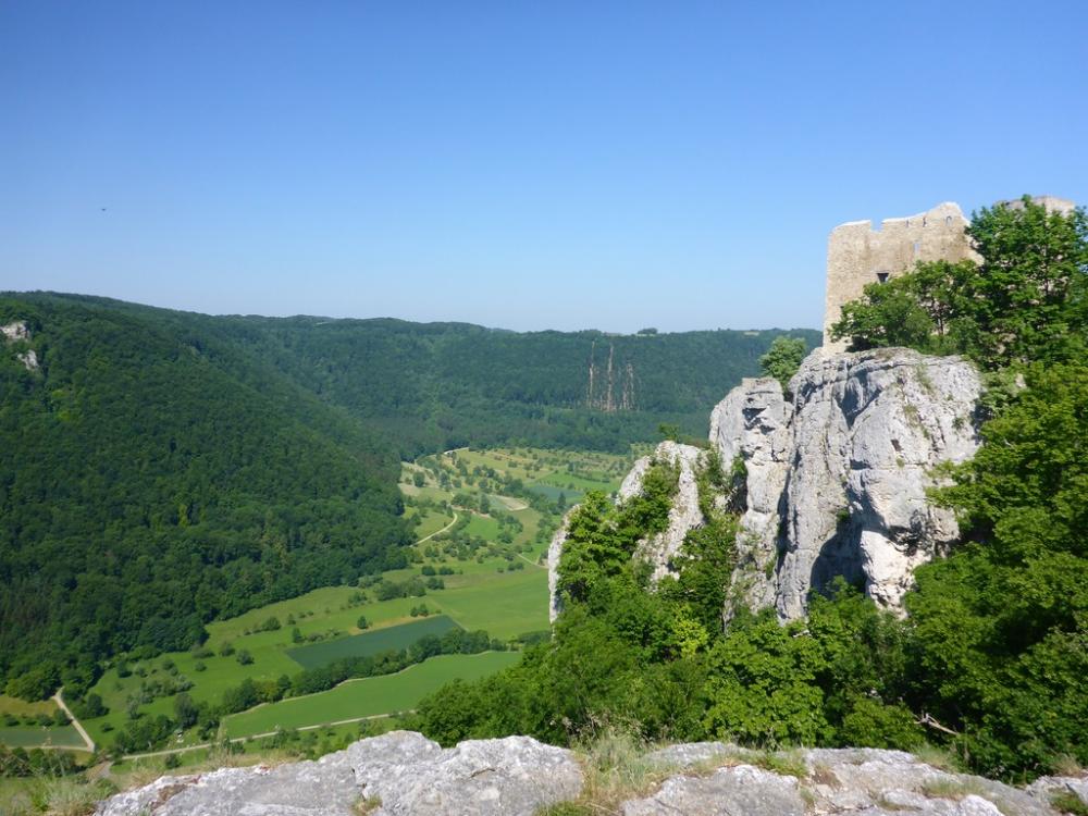 post-1325-0-97628500-1434721785_thumb.jp