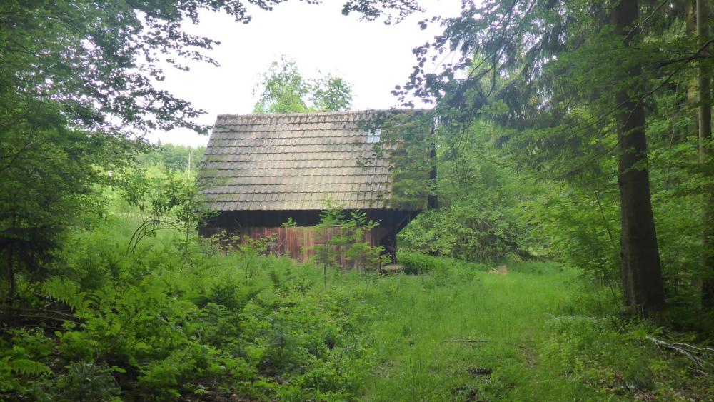 post-1325-0-98419300-1434468773_thumb.jp