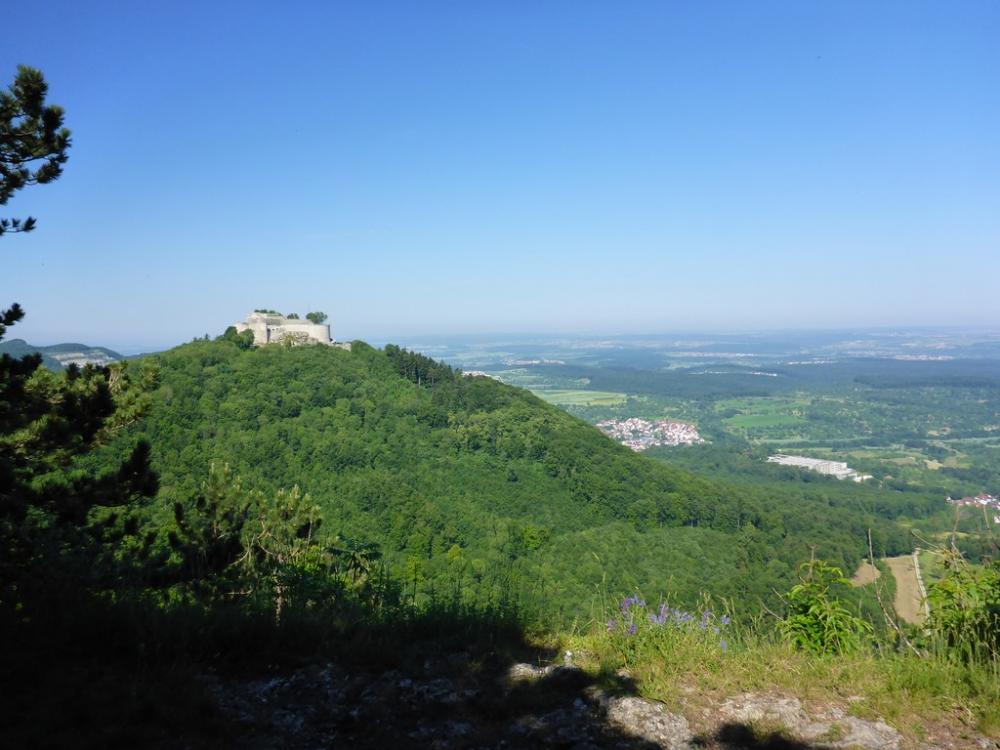 post-1325-0-98465200-1434746969_thumb.jp