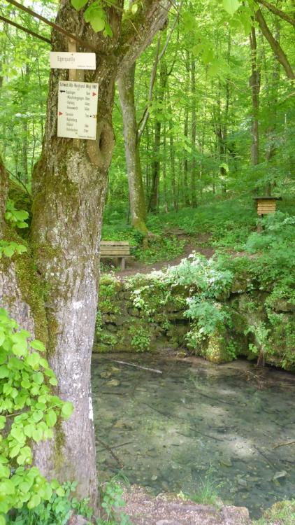 post-1325-0-99206100-1434468155_thumb.jp