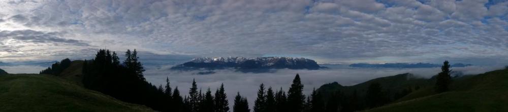 post-1824-0-68757400-1434573685_thumb.jp