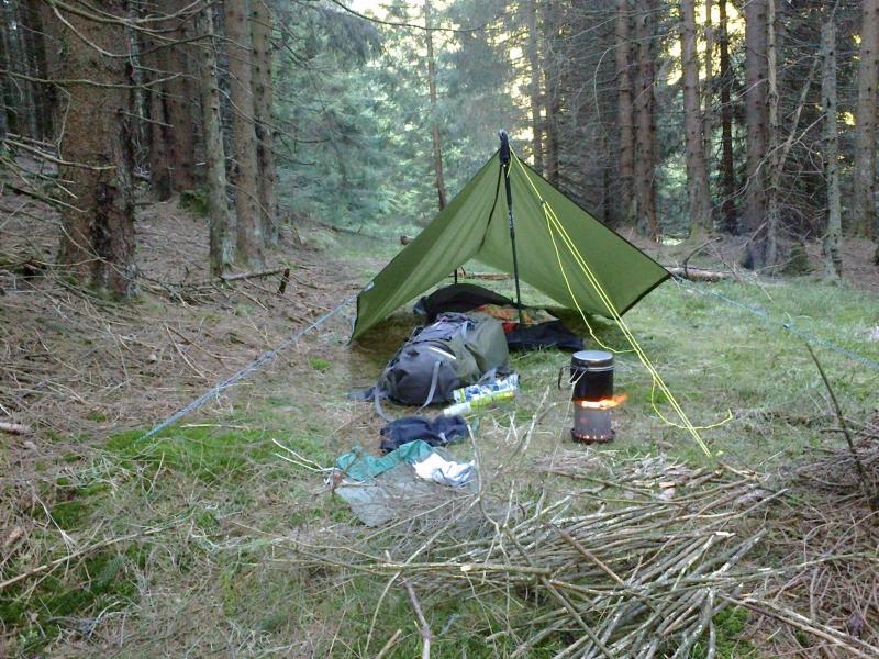 post-1031-0-78540600-1405425587_thumb.jp