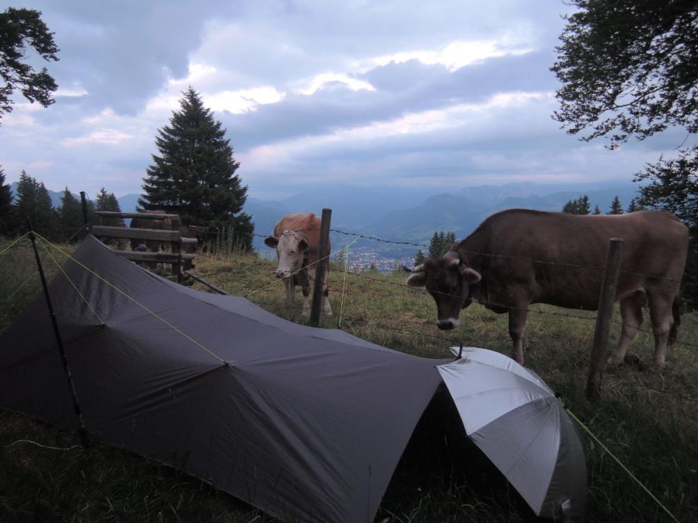 post-1404-0-05329200-1437579951_thumb.jp