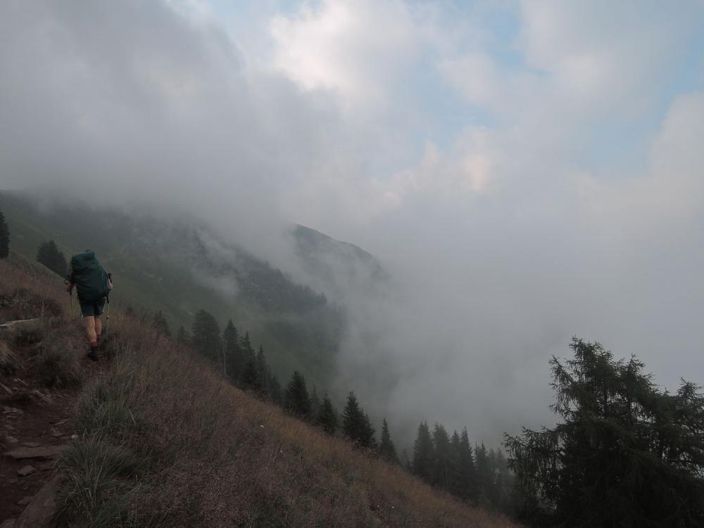 post-1404-0-42845200-1437580554_thumb.jp