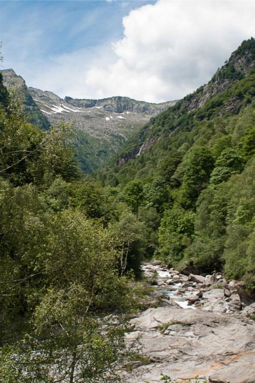 post-1714-0-02519900-1436194031_thumb.jp