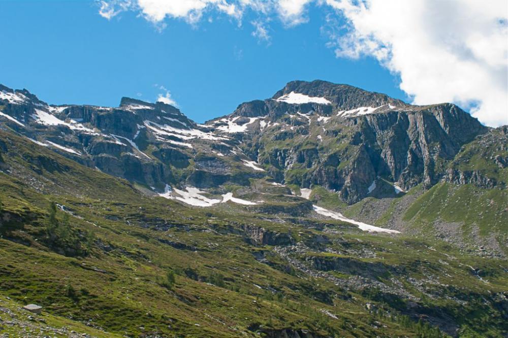 post-1714-0-03437000-1436208214_thumb.jp