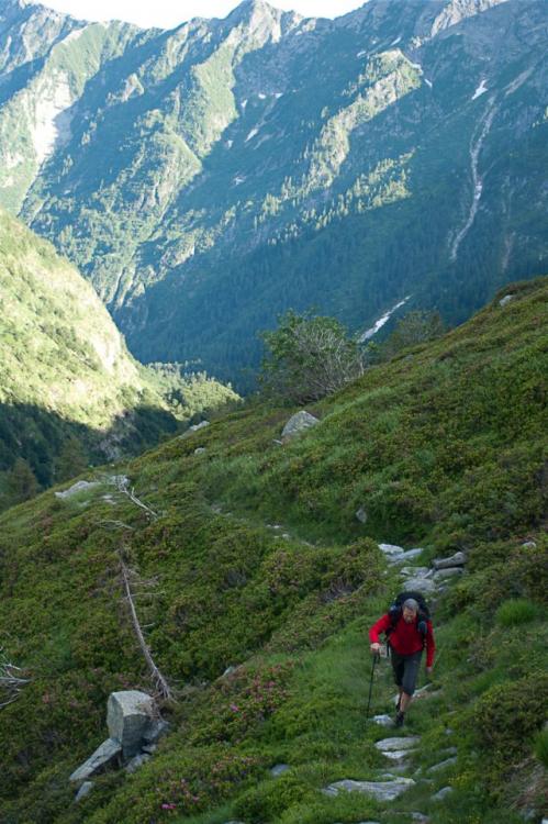 post-1714-0-06862000-1436194628_thumb.jp