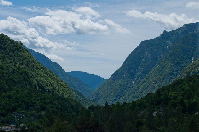 post-1714-0-44557900-1436180896_thumb.jp