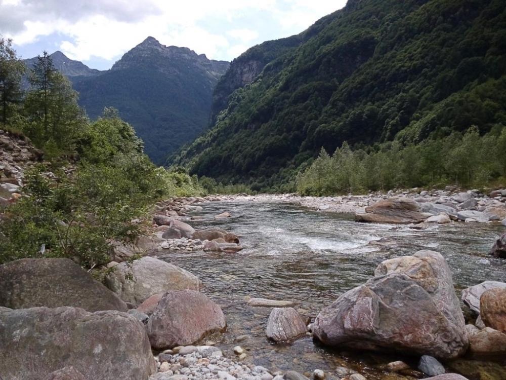 post-1714-0-52995400-1436209045_thumb.jp