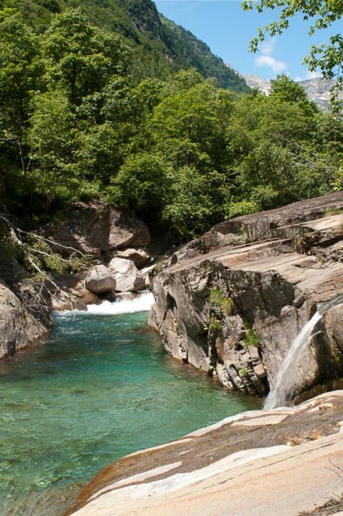 post-1714-0-64238300-1436180987_thumb.jp