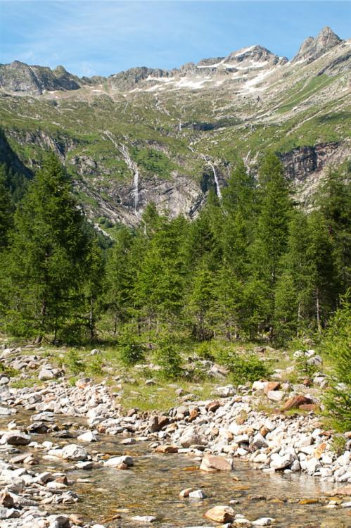 post-1714-0-76870100-1436194184_thumb.jp