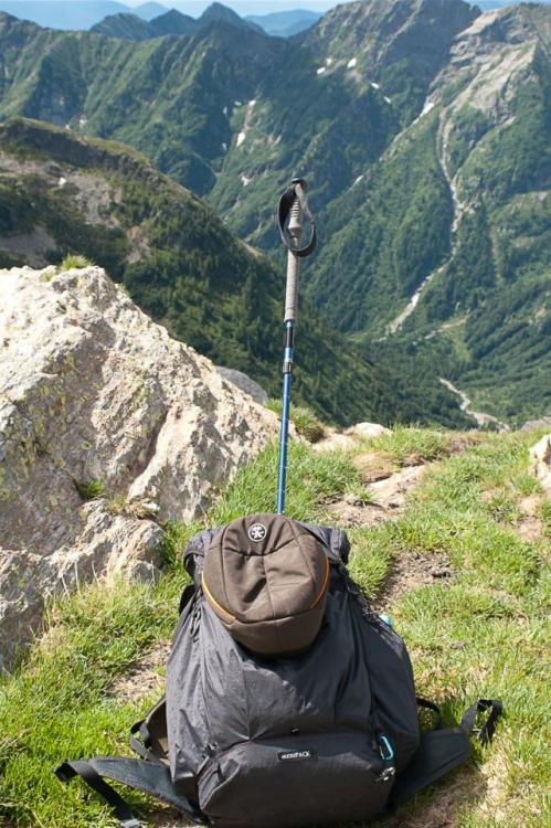 post-1714-0-84378000-1436207942_thumb.jp