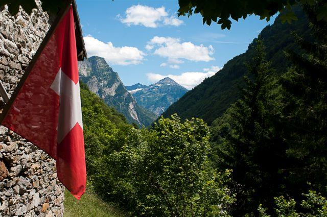 post-1714-0-95025600-1436181101_thumb.jp