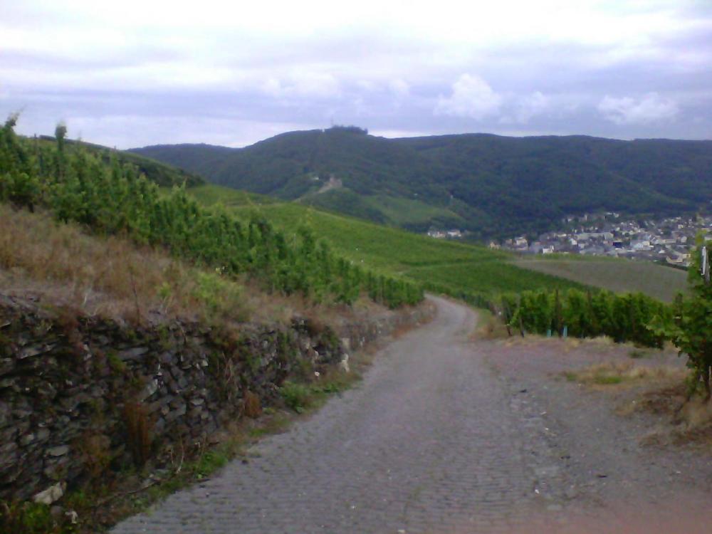 post-1618-0-03876200-1408463673_thumb.jp