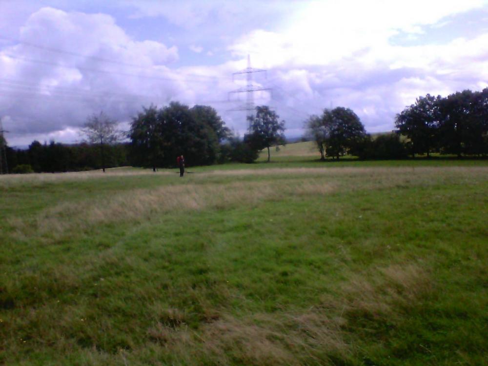 post-1618-0-14756600-1408464281_thumb.jp