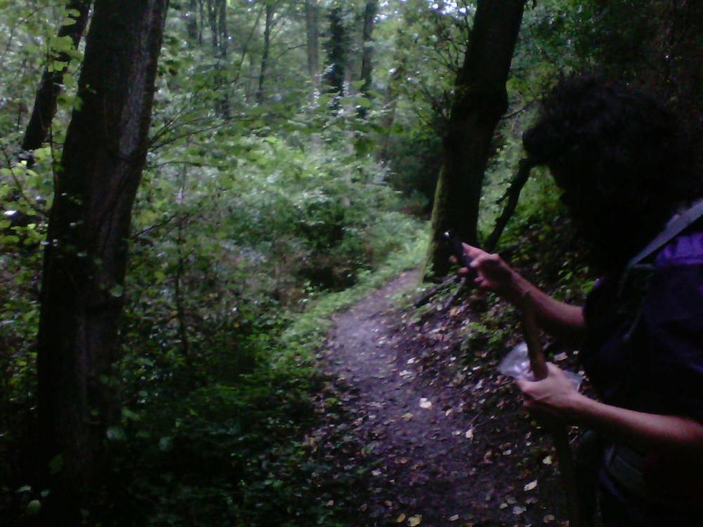 post-1618-0-23072900-1408462028_thumb.jp