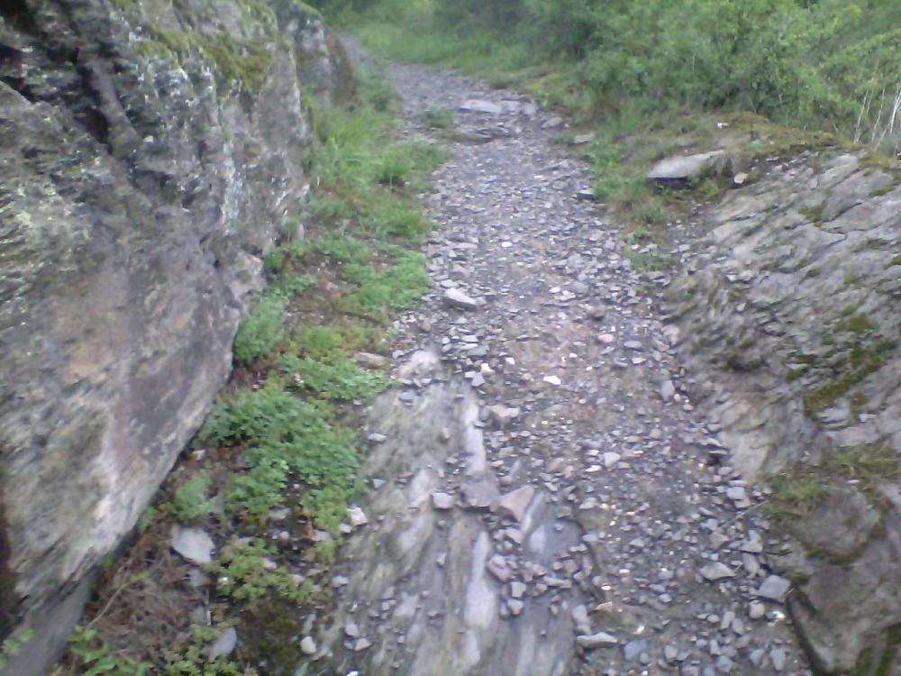 post-1618-0-29386700-1408462076_thumb.jp