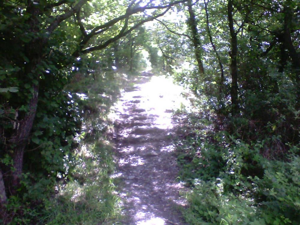 post-1618-0-37676700-1408463119_thumb.jp