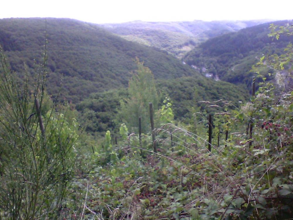 post-1618-0-44807000-1408462571_thumb.jp