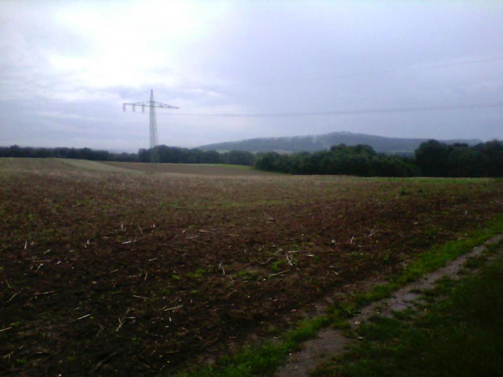 post-1618-0-51362300-1408461928_thumb.jp