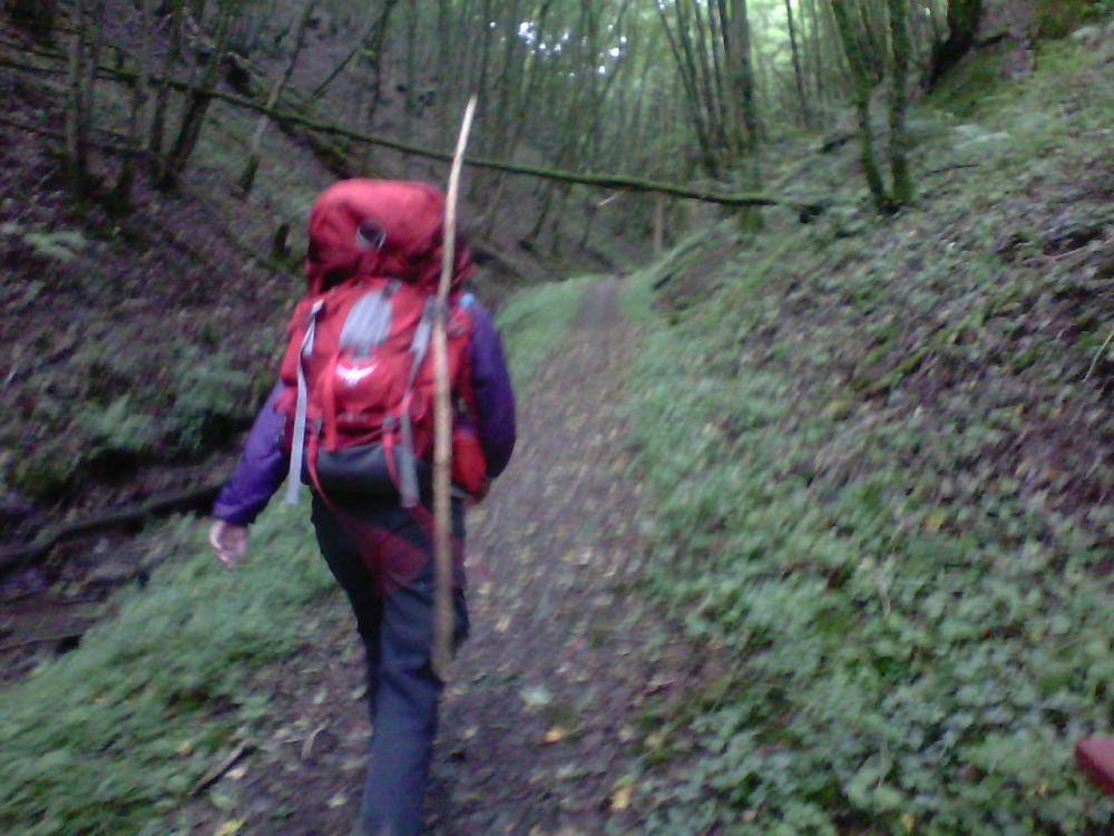 post-1618-0-57062000-1408462478_thumb.jp