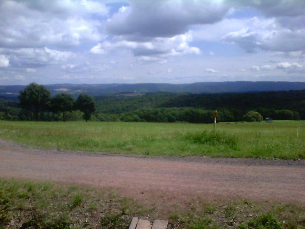 post-1618-0-58232400-1408452565_thumb.jp