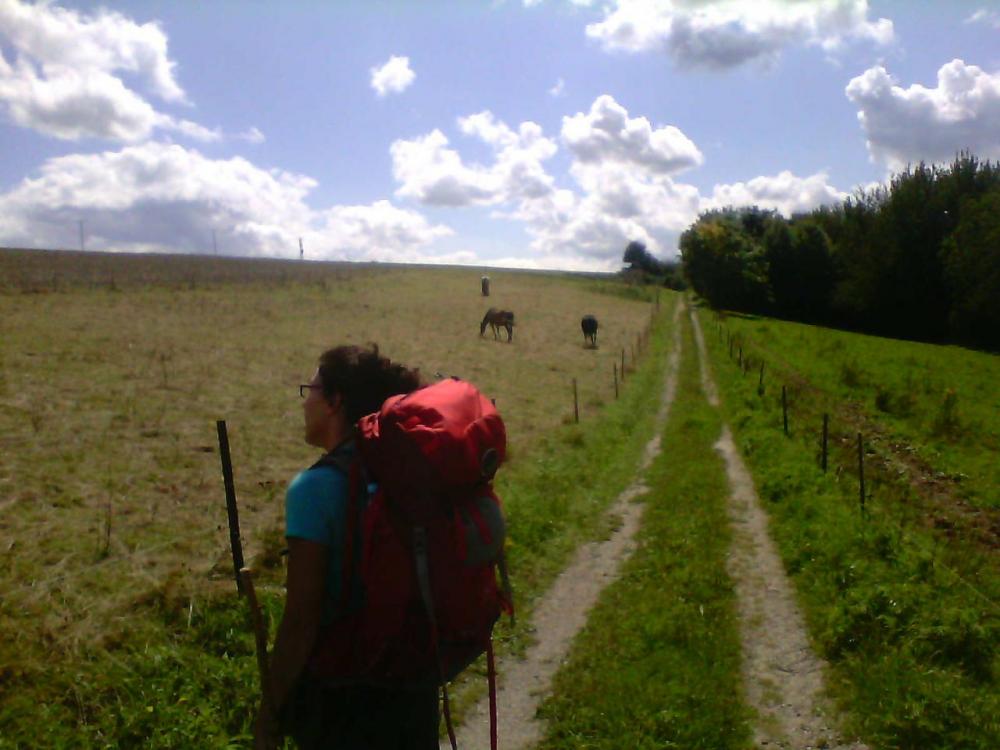 post-1618-0-85703800-1408463328_thumb.jp