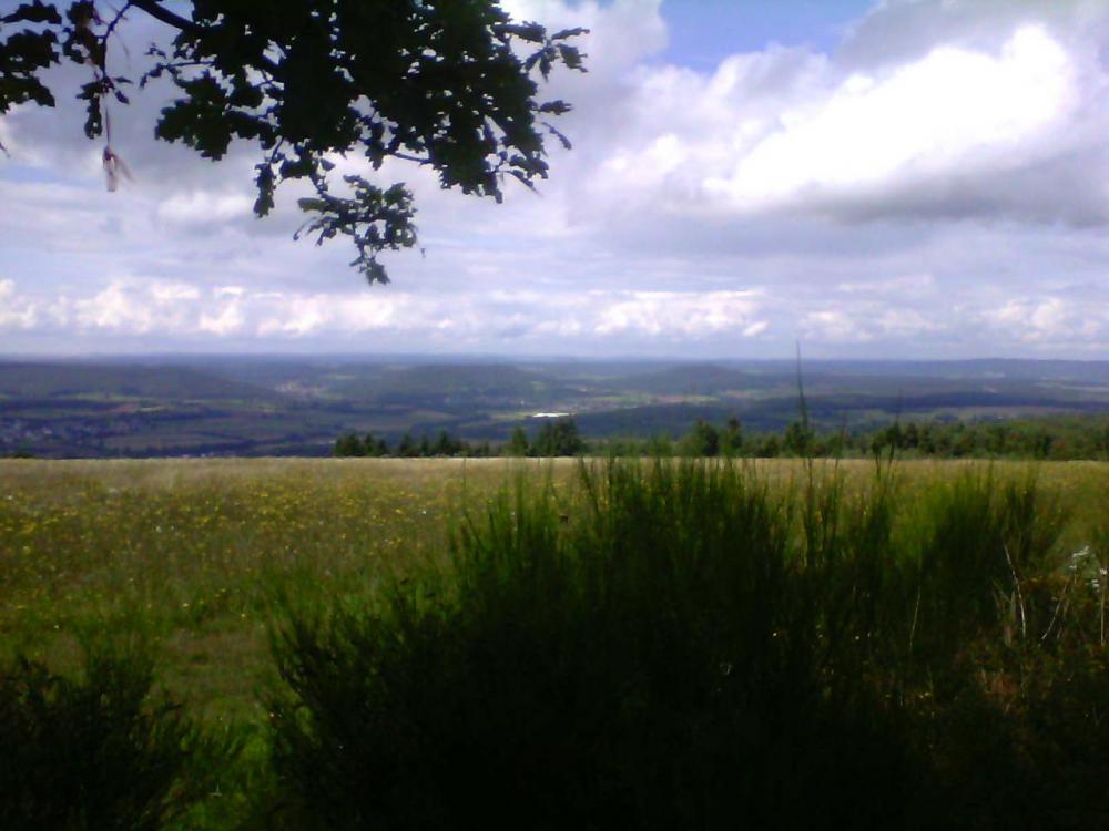 post-1618-0-94088400-1408464043_thumb.jp