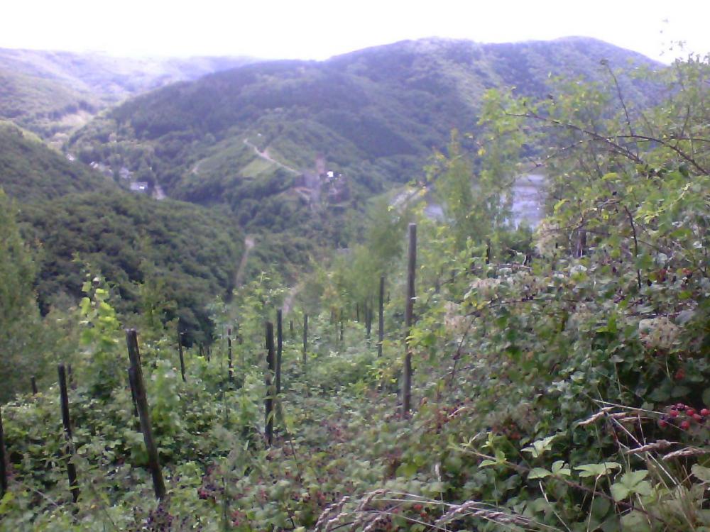 post-1618-0-94778800-1408462548_thumb.jp