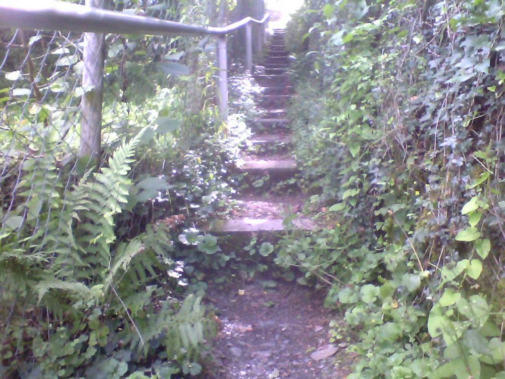 post-1618-0-96266800-1408463061_thumb.jp