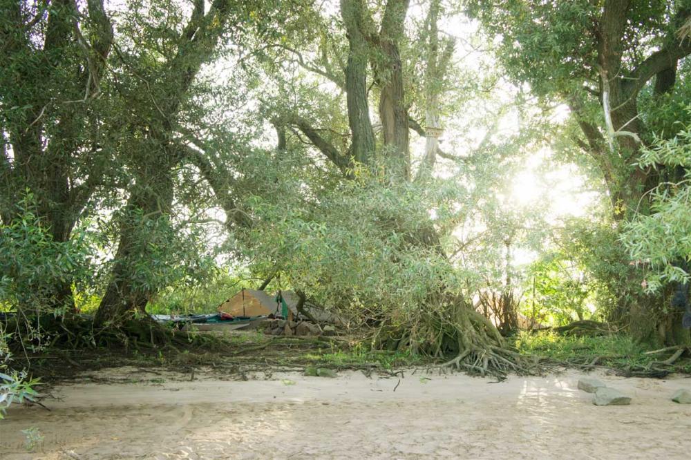 post-1378-0-07756100-1439647396_thumb.jp