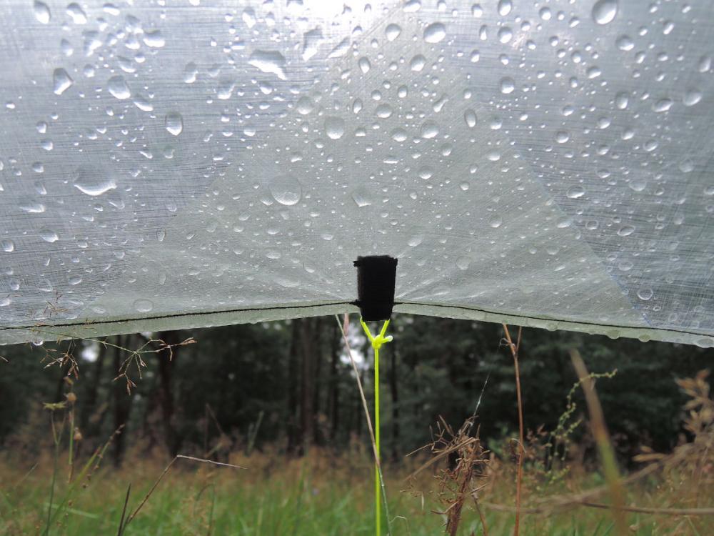 post-1404-0-15421300-1440411822_thumb.jp