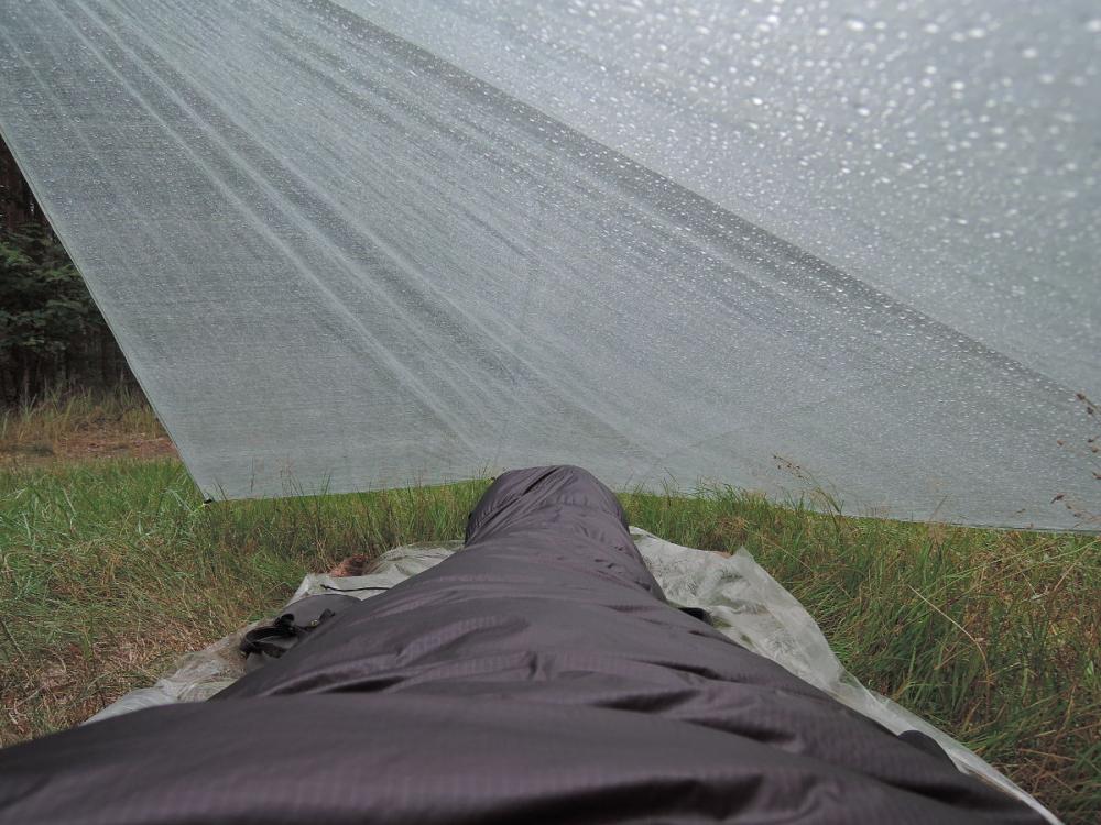 post-1404-0-54066000-1440411804_thumb.jp