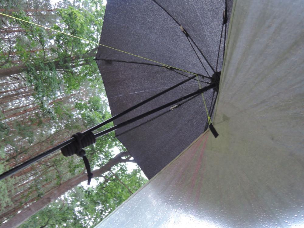 post-1404-0-62773400-1440431353_thumb.jp