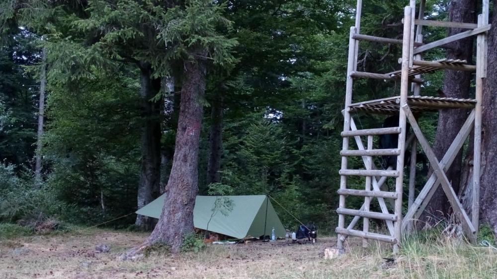 post-1714-0-04891800-1440017401_thumb.jp