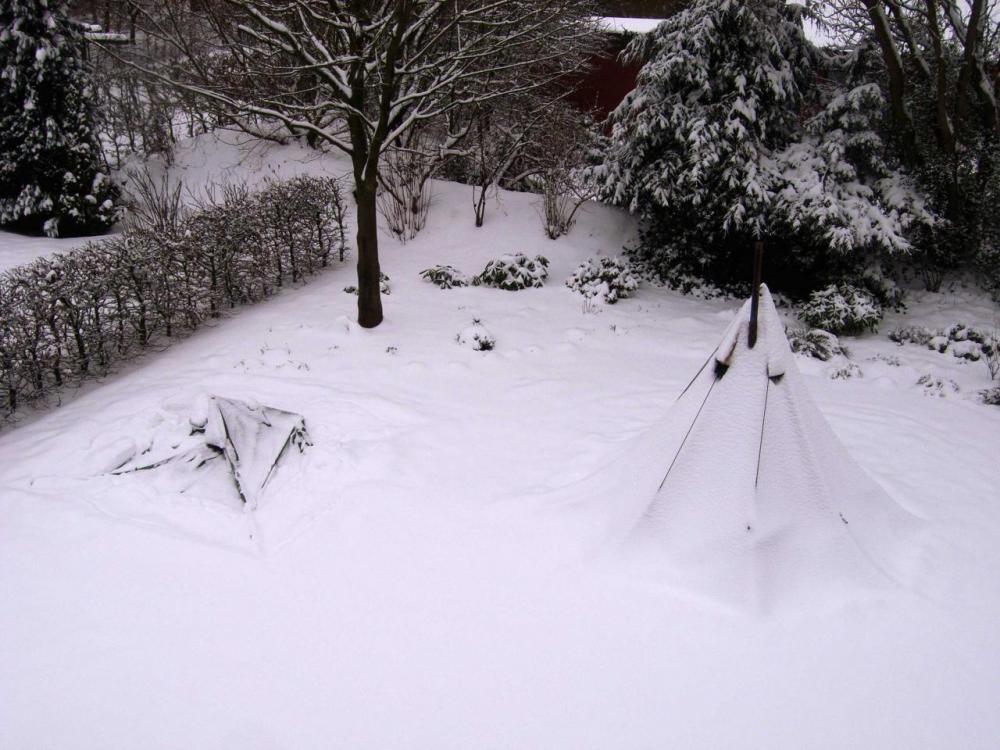 post-1378-0-67359700-1411327453_thumb.jp