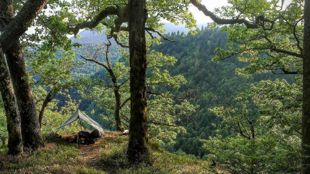 post-1031-0-42018500-1442727757_thumb.jp