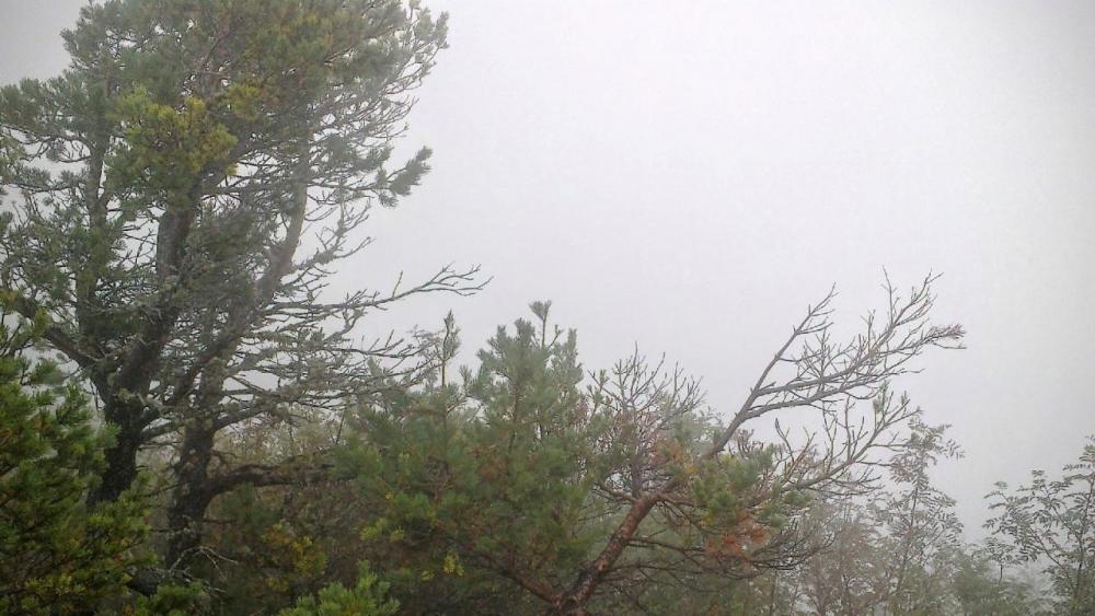 post-1031-0-53847400-1442728254_thumb.jp