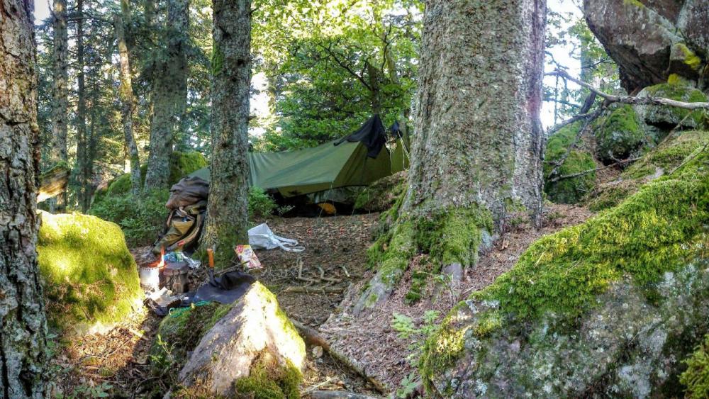 post-1031-0-61348900-1442728124_thumb.jp