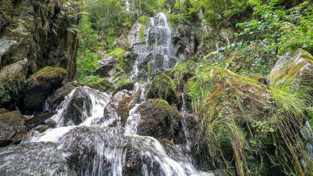 post-1031-0-93537700-1442728092_thumb.jp