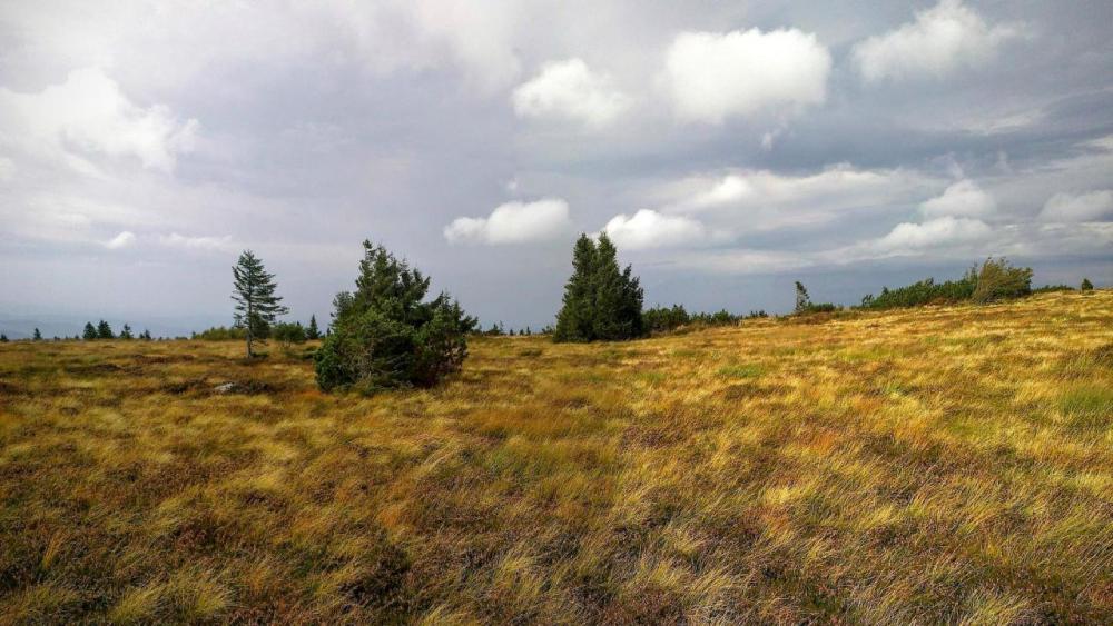 post-1031-0-99883100-1442728239_thumb.jp