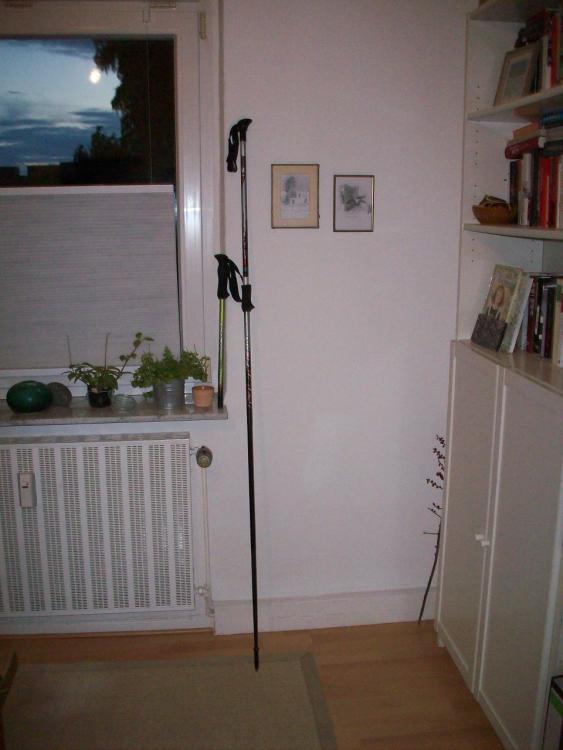 post-1188-0-74390800-1442167740_thumb.jp