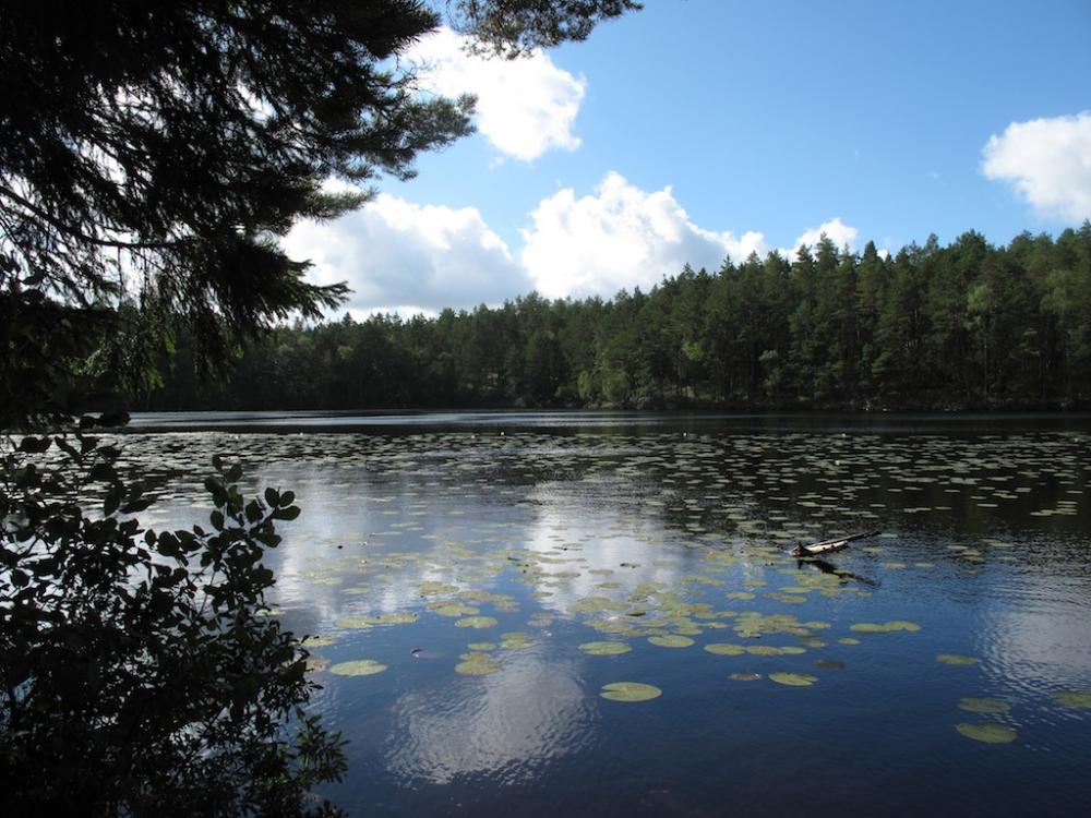 post-1972-0-04769800-1442910143_thumb.jp