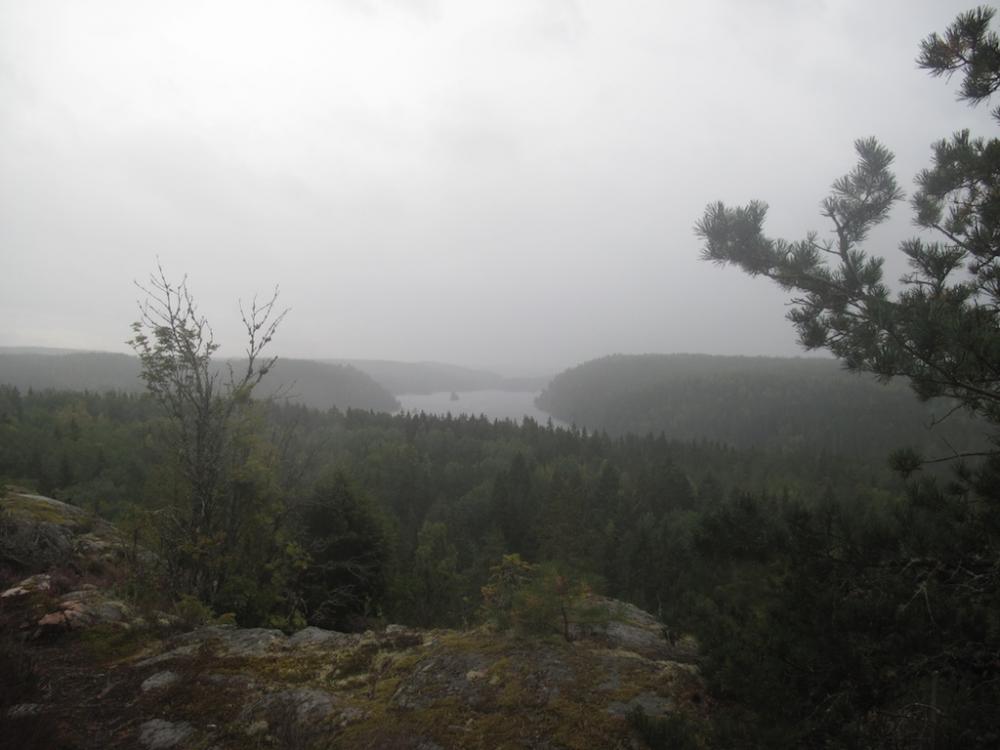 post-1972-0-05096900-1442910186_thumb.jp