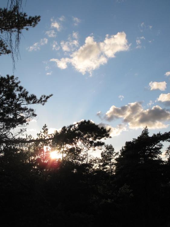 post-1972-0-07998100-1442910009_thumb.jp