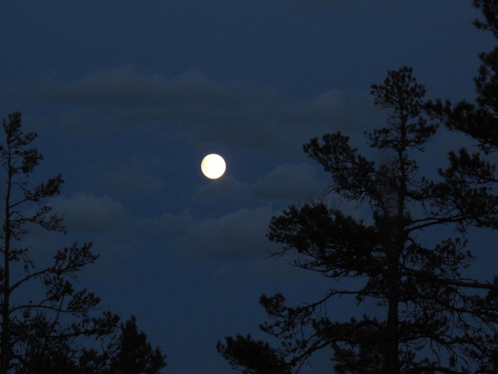 post-1972-0-47152900-1442910435_thumb.jp