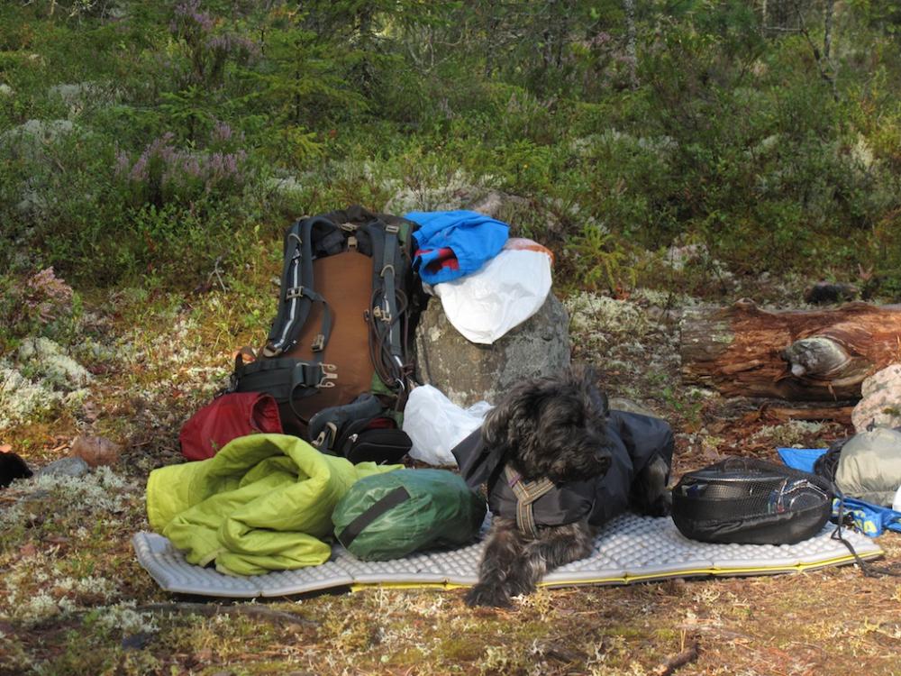 post-1972-0-54963300-1442911294_thumb.jp